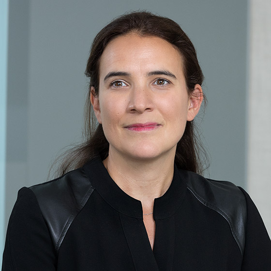 Elise Dupuy Vaudour