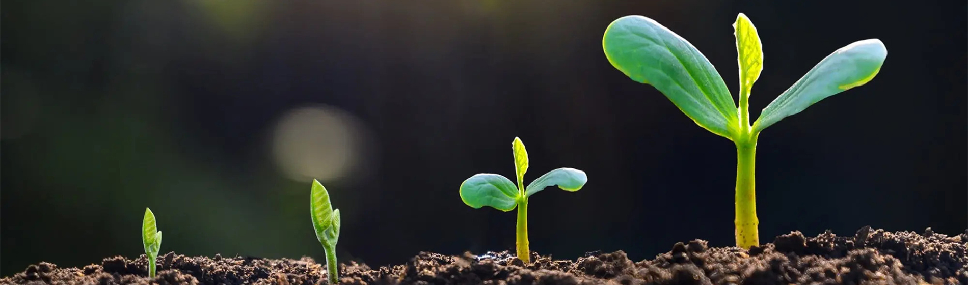 Banner ESG Cycle d'investissement