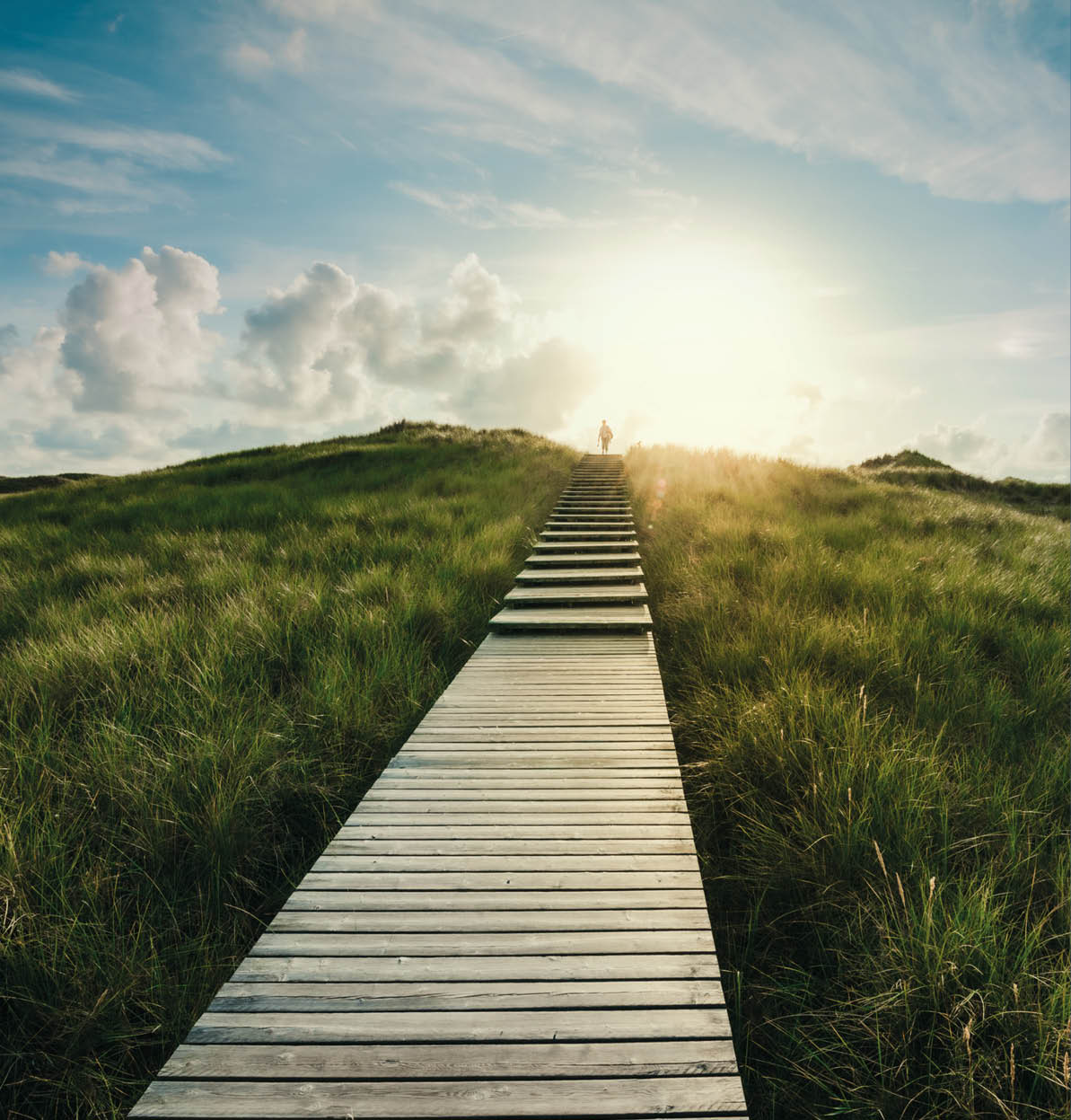 Boardwalk through the dunes, Amrum, Germany