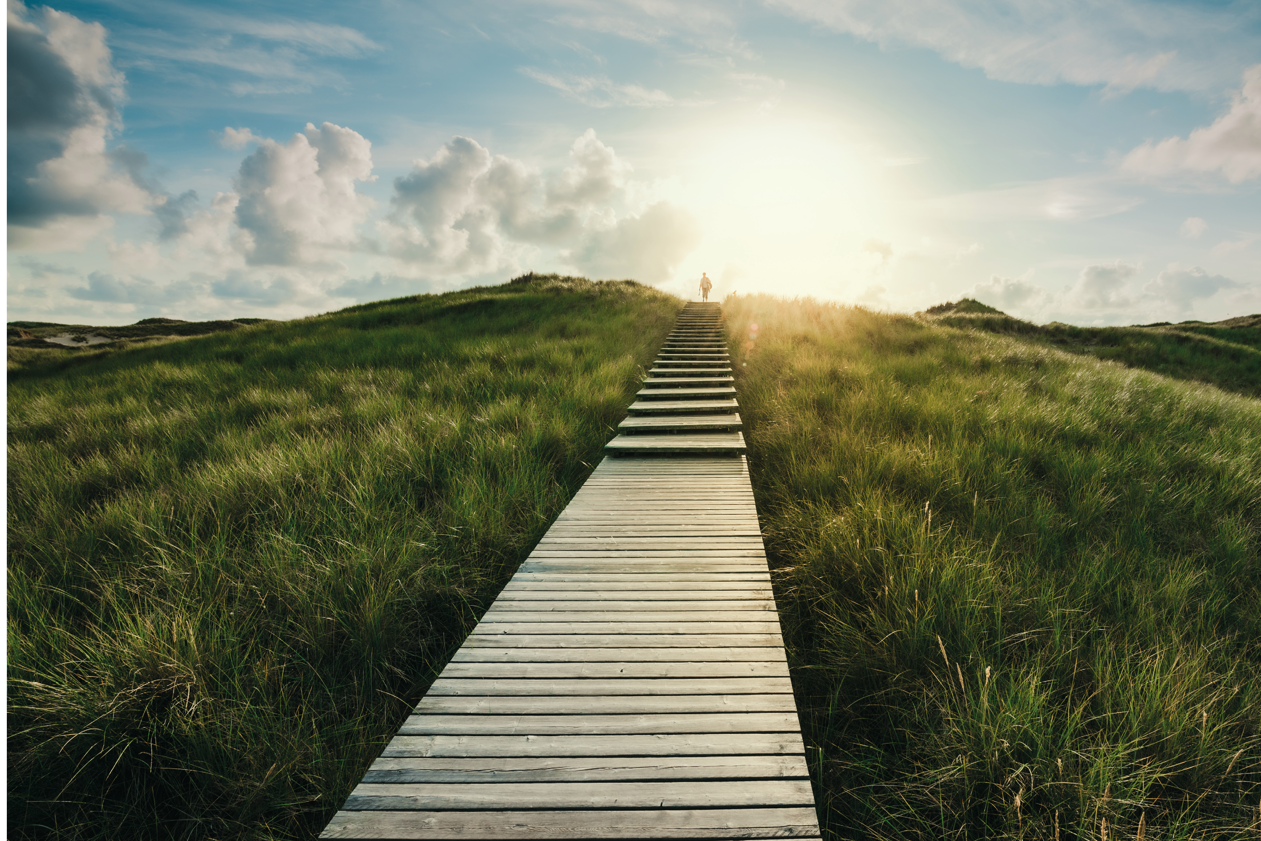 Boardwalk through the dunes, Amrum, Germany