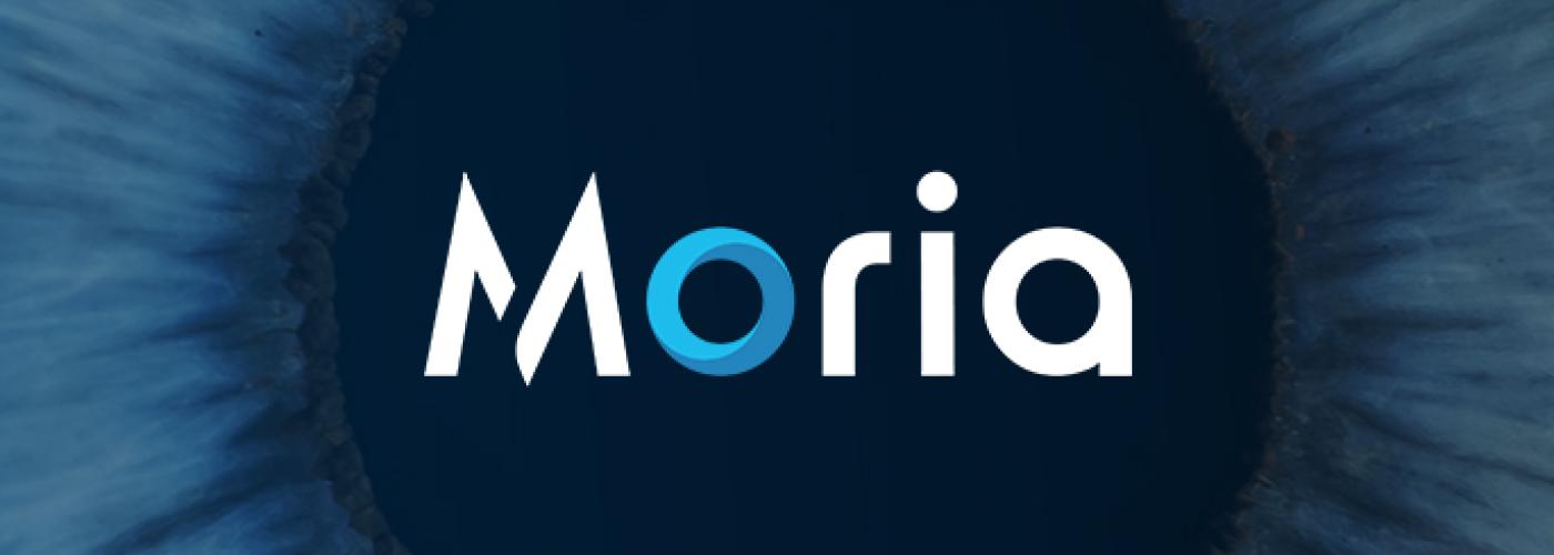 MORIA INVESTMENT PICTURE
