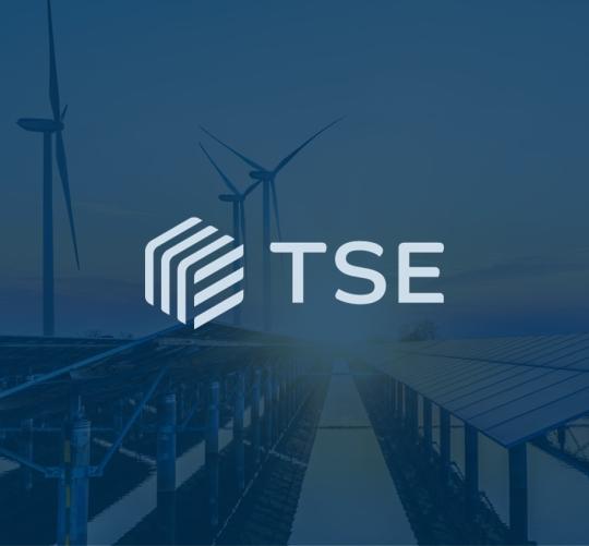 TSE vignette